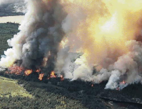 Montreal and Izmir Hit by Forest Fires, Urgent Precautions Advised for Summer 2023