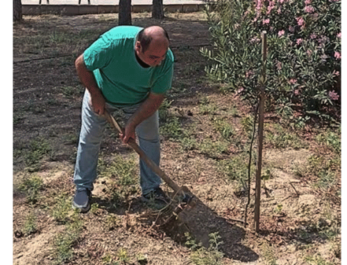 Islam Turfent, CEO and Founder of Greens Token, Leads by Example on World Environment Day