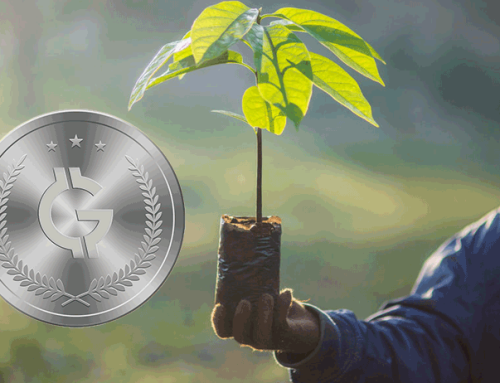 Greens Token Announces to Plant Trees: “Let’s start plant trees, it is the season”